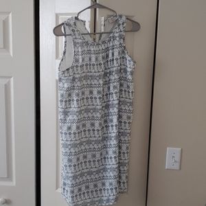 Blue and White Dress